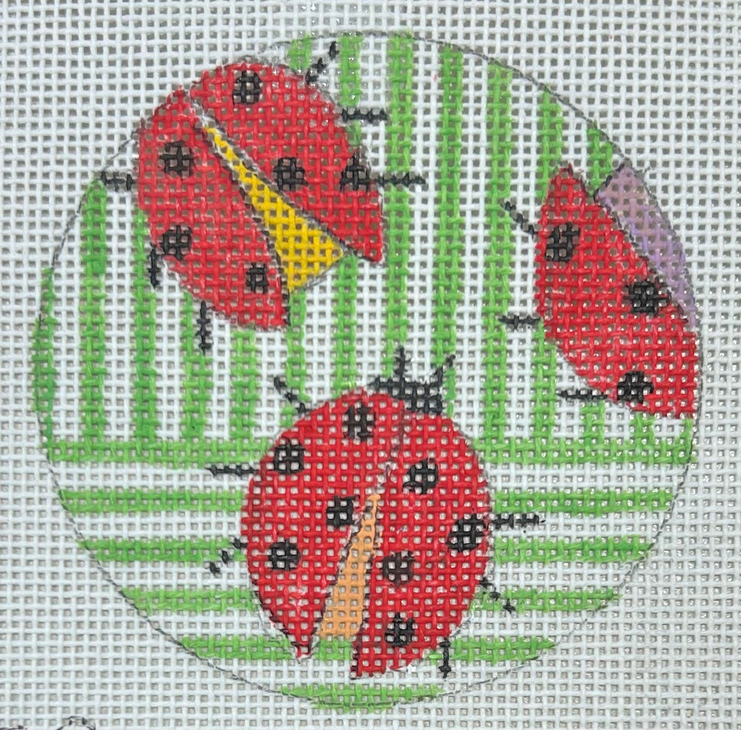 PM1069  LADYBUG