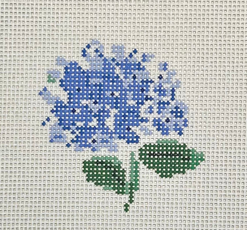 HYDRANGEA