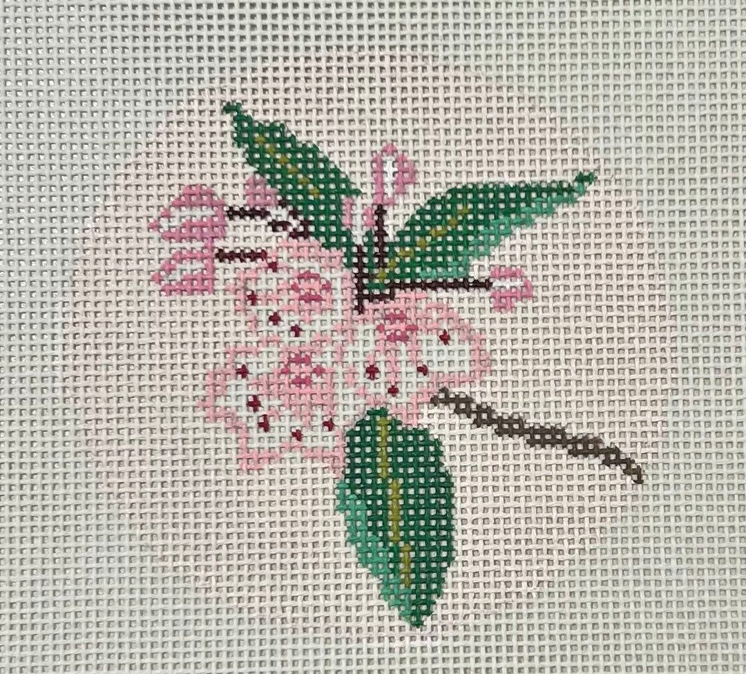MOUNTAIN LAUREL BRANCH