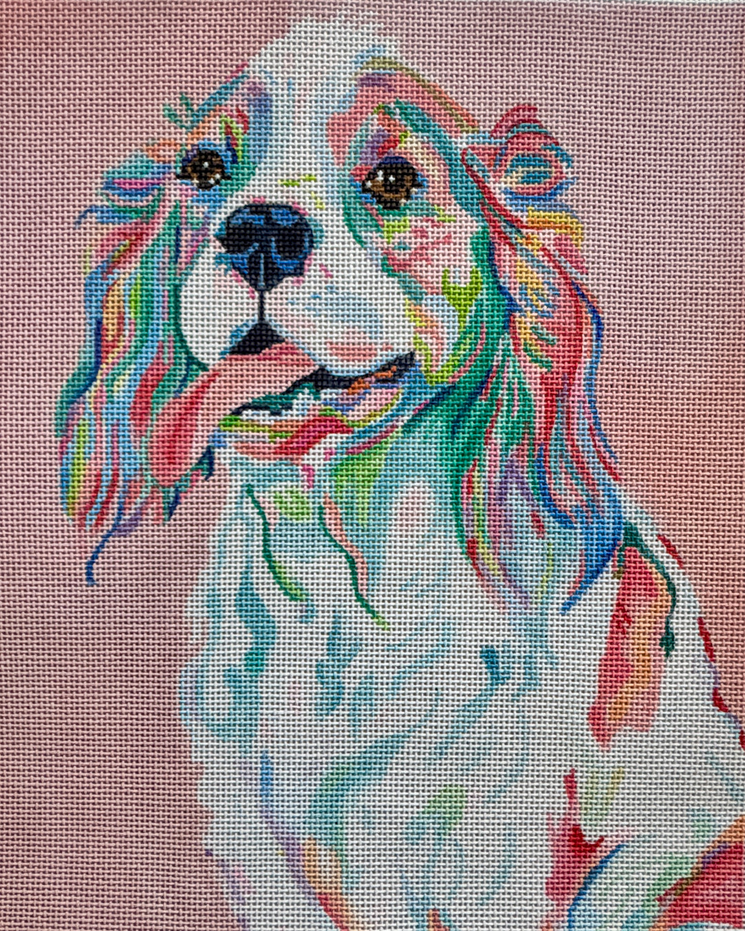 MEGAN CAM - CAVALIER KING CHARLES