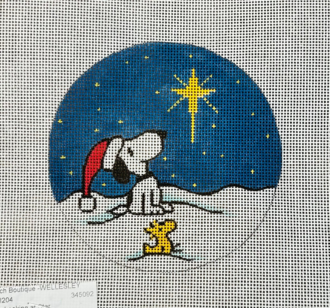 Snoopy Looking at Star