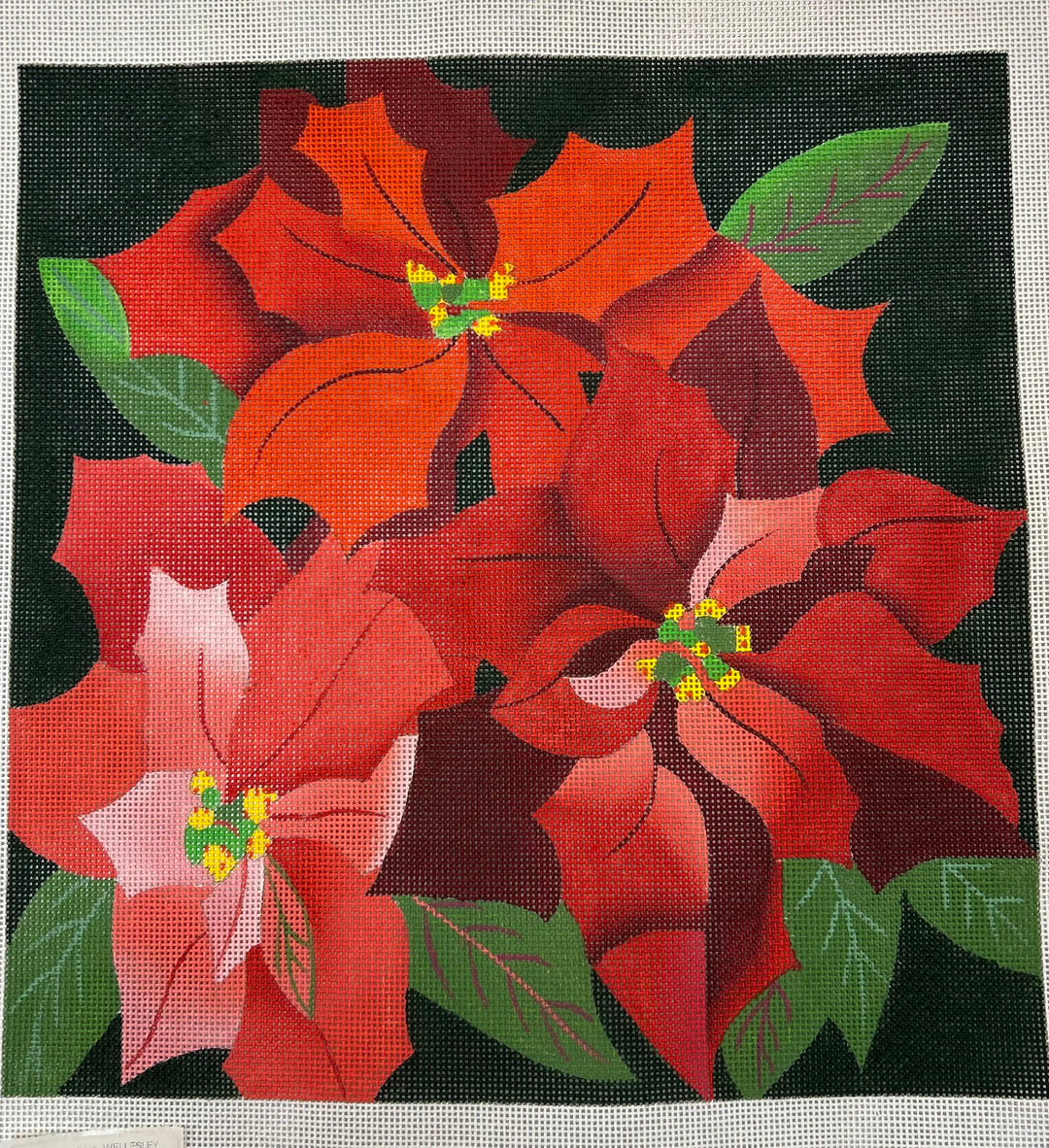 Giant Red Poinsettia