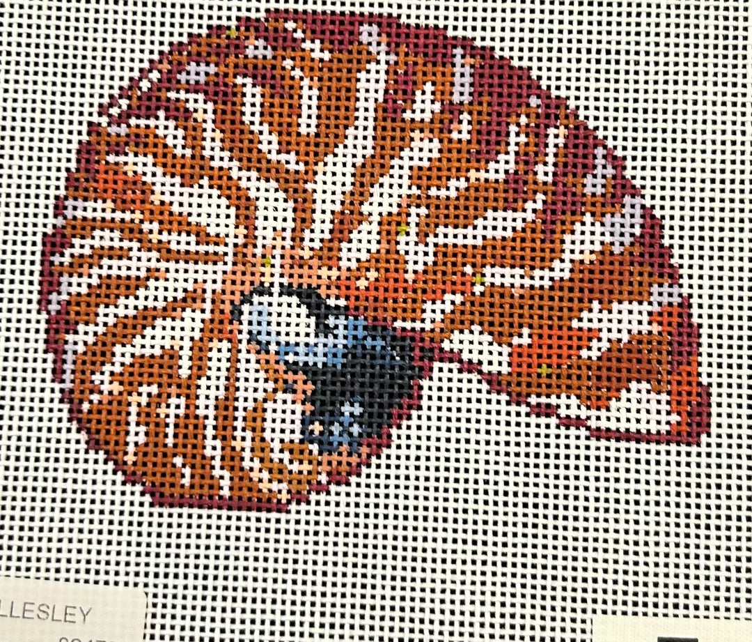 MINI NAUTILUS TERRA COTTA