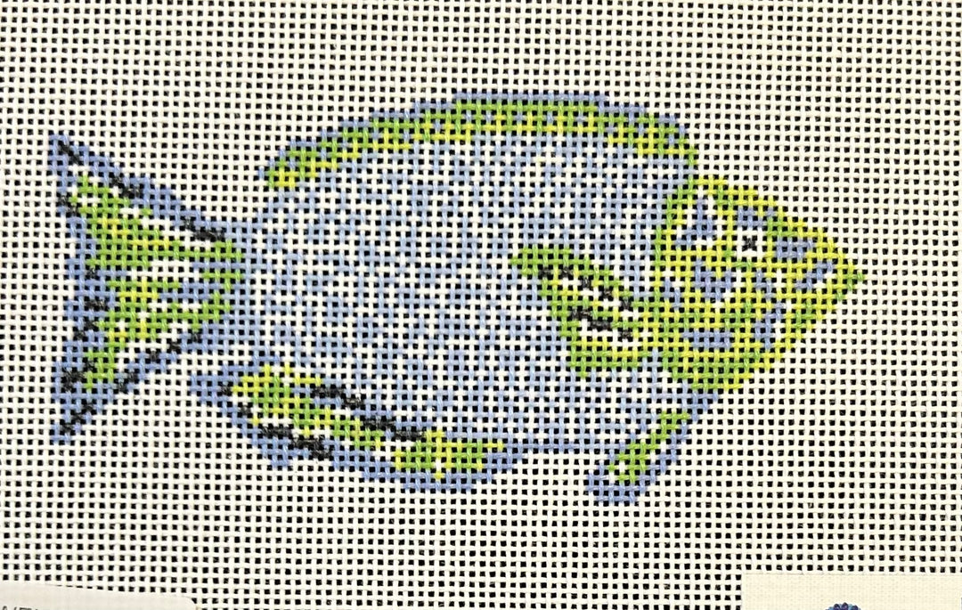 BLUE AND GREEN PARROTFISH