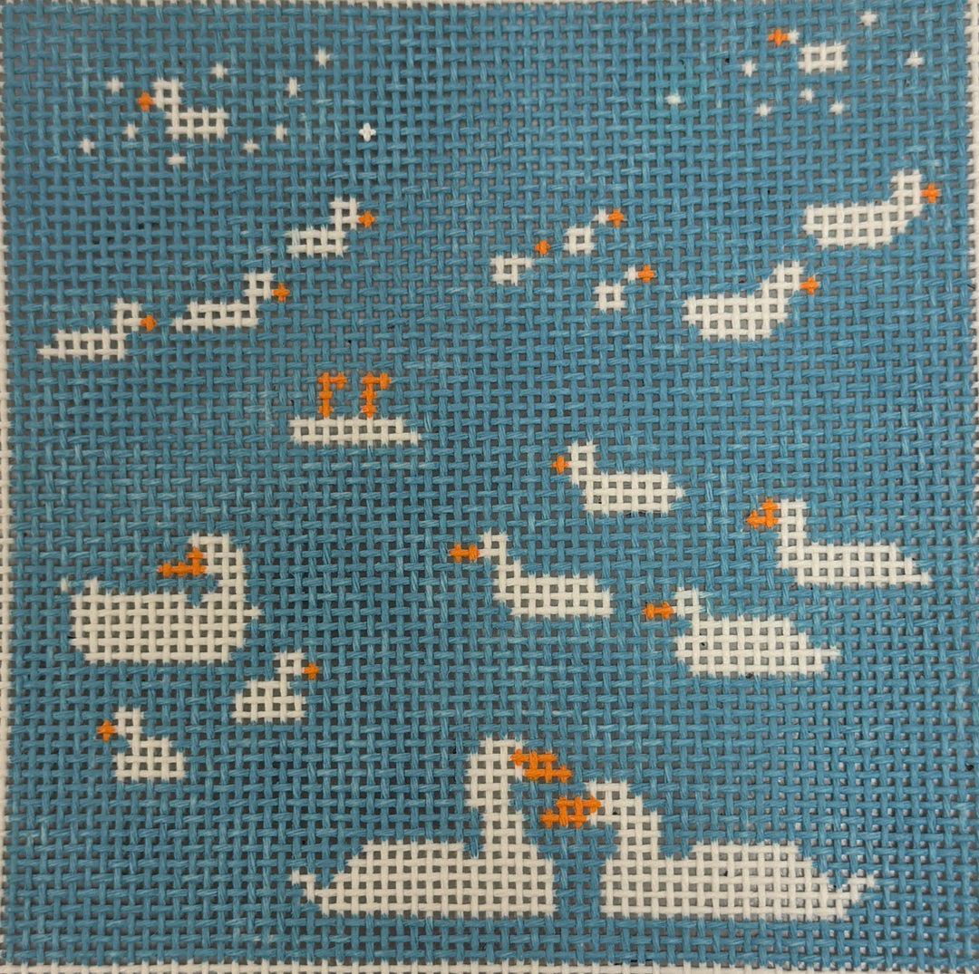 SWIMMING DUCKS