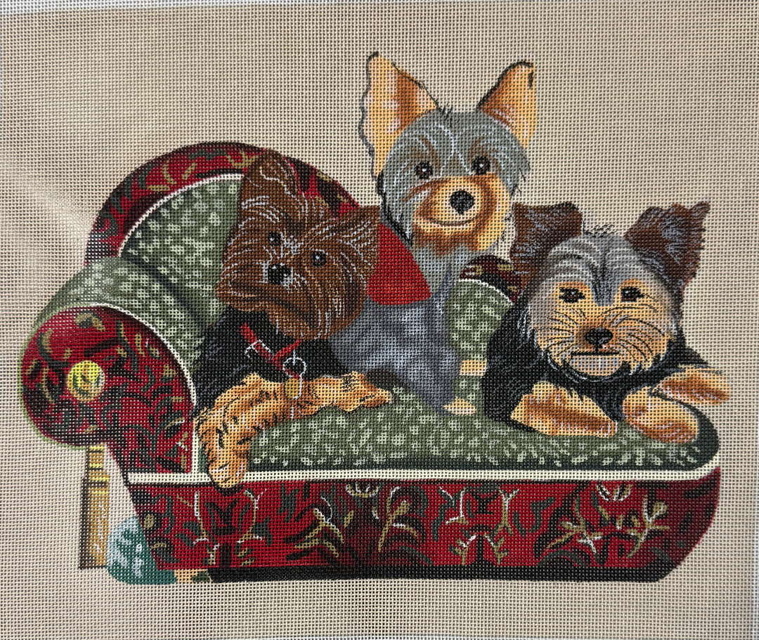 YORKIES ON DOG BED