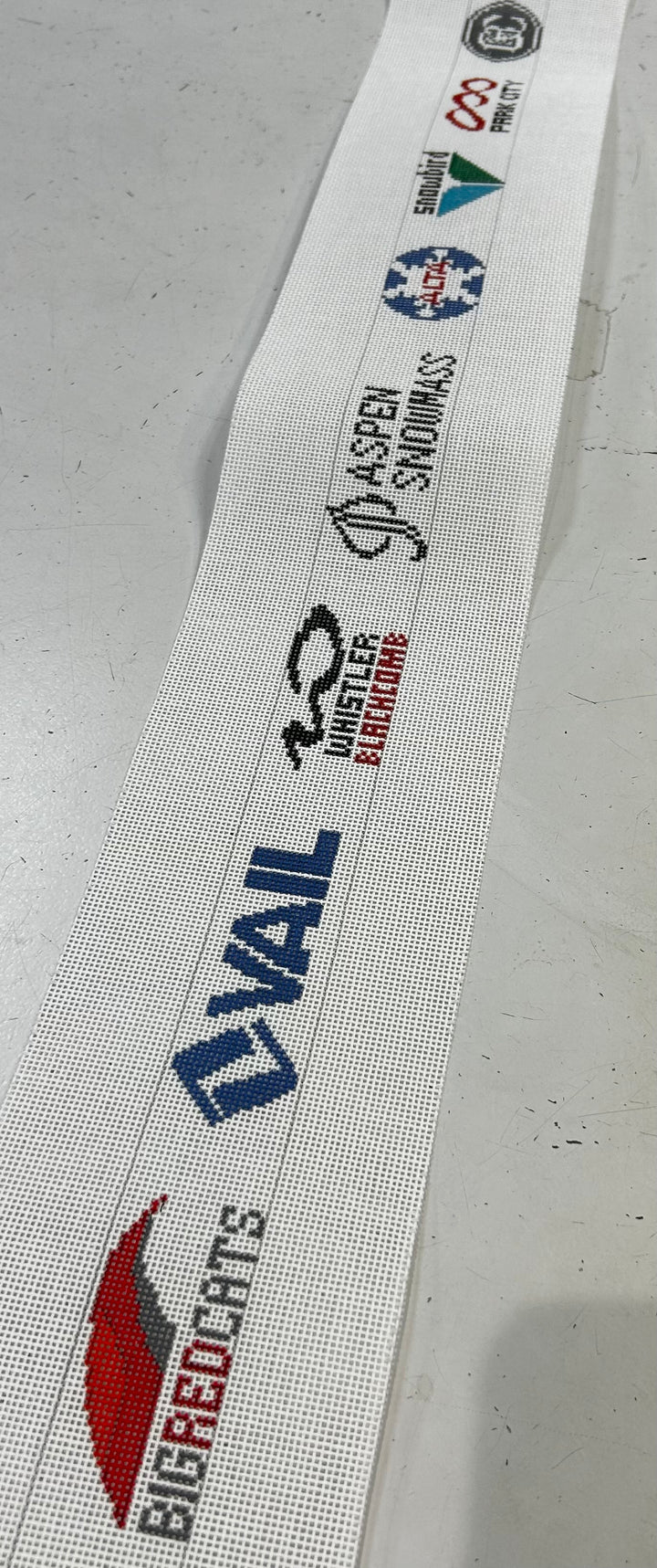 SKI RESORT BELT