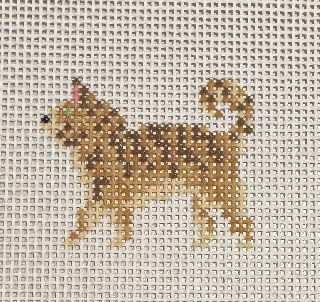 BROWN TABBY CAT