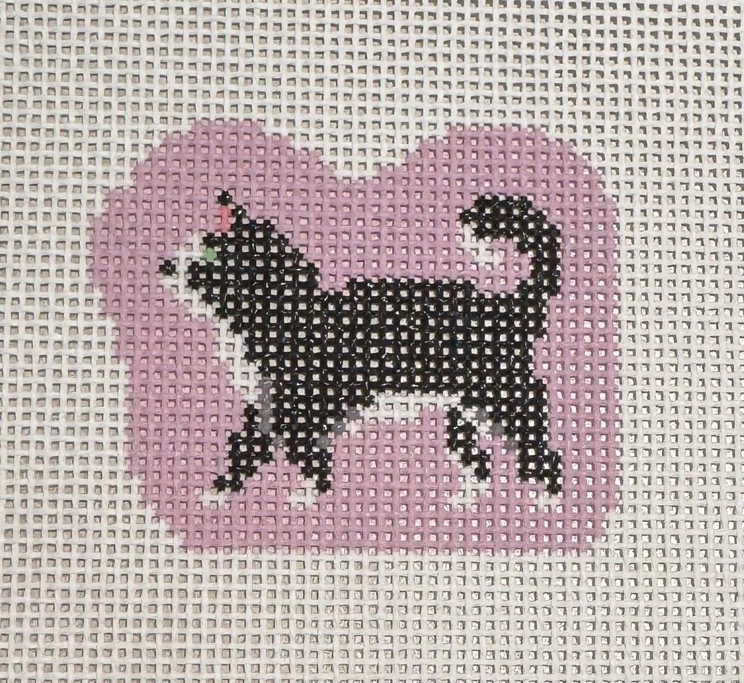 BLACK AND WHTE CAT