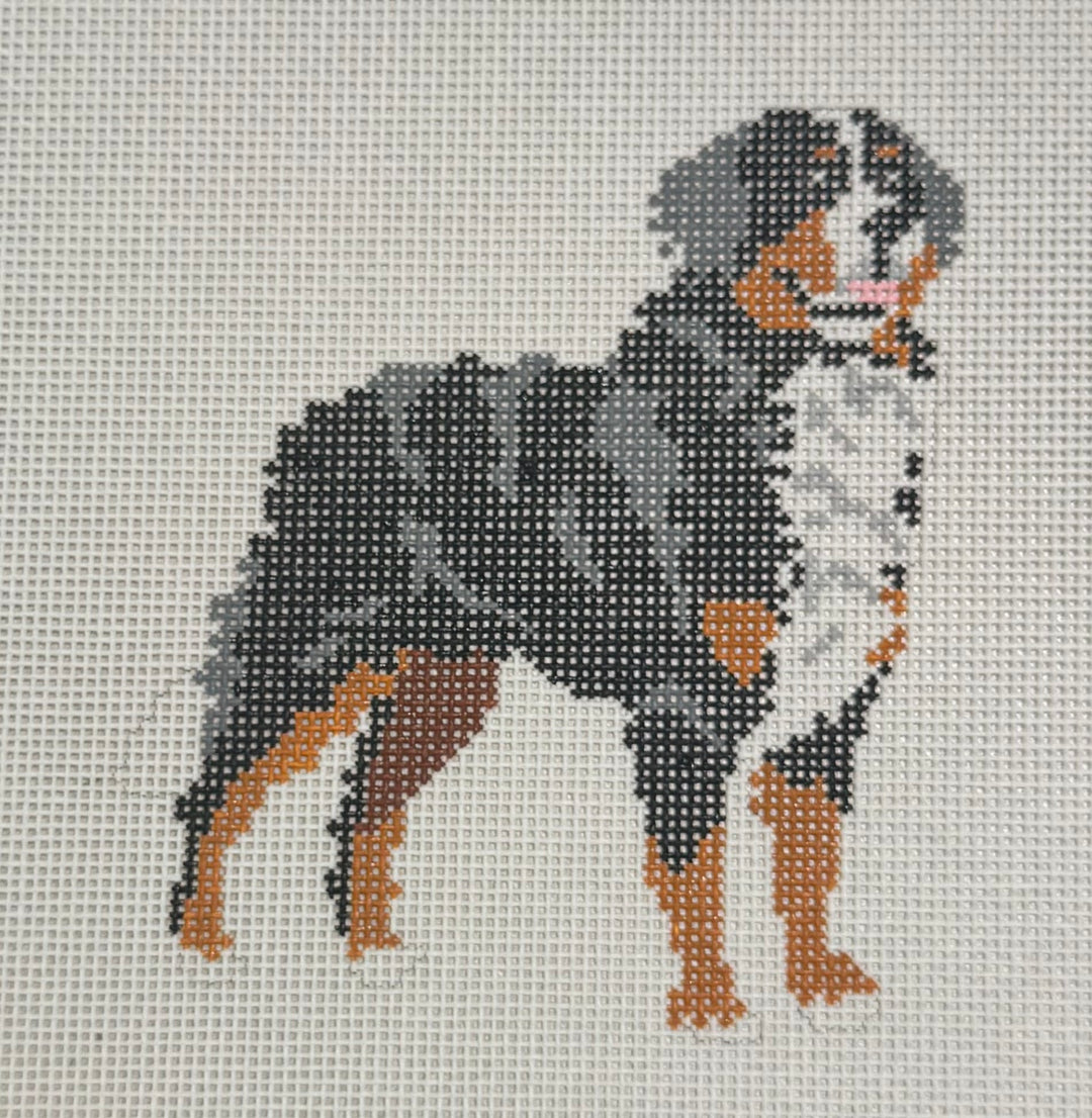 BERNESE MOUNTAIN DOG