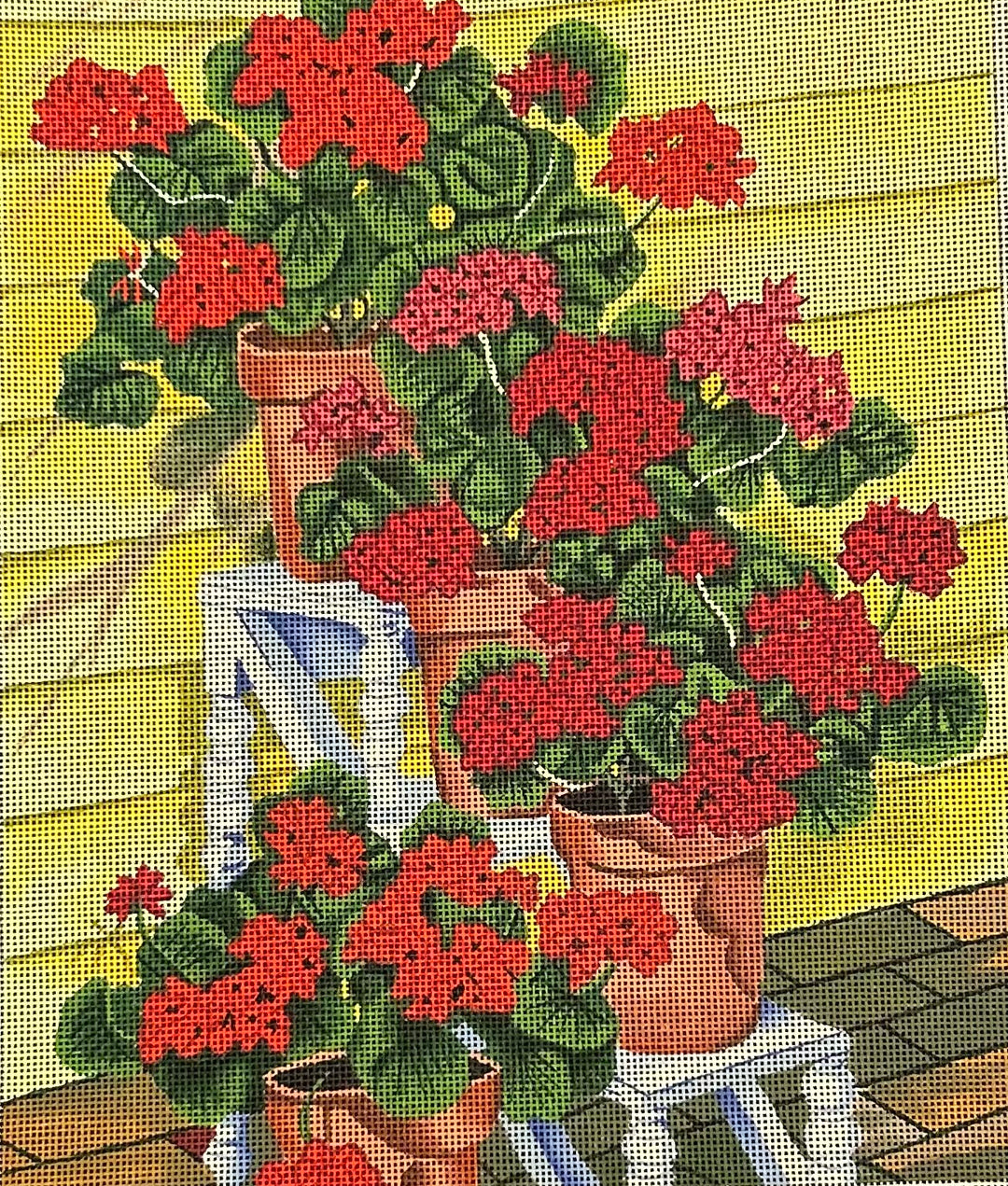 PB14092 - POTS OF GERANIUMS