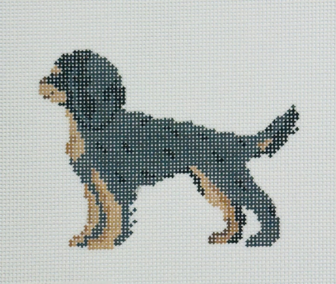 CAVALIER - BLACK