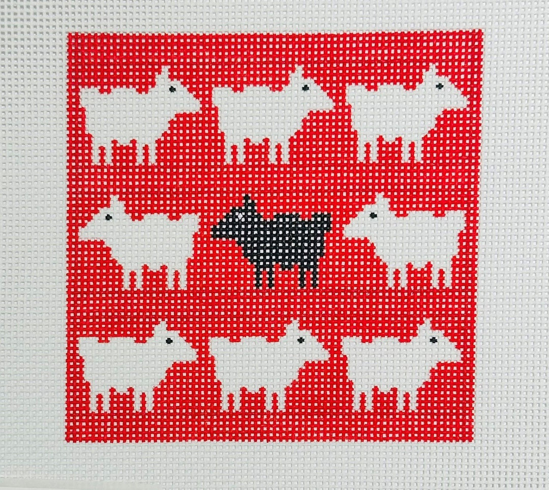 BLACK SHEEP