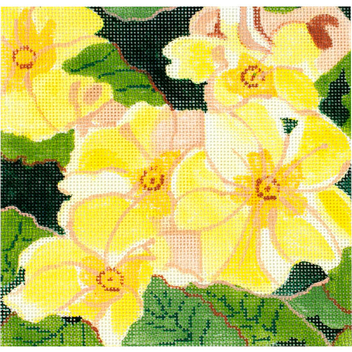 SUMMER PALETTE PRIMROSES - YELLOW
