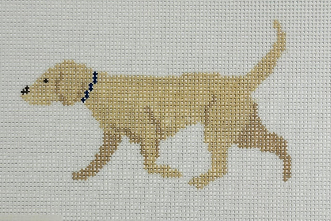YELLOW LAB